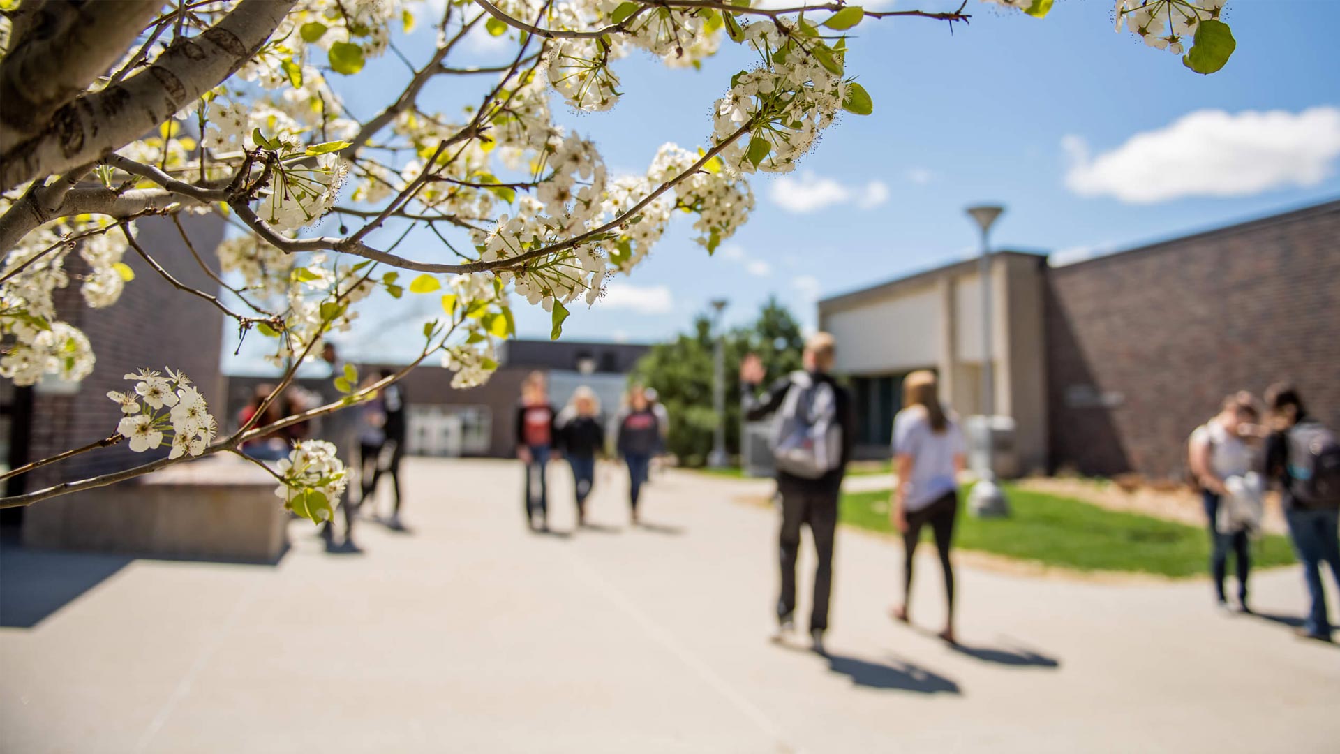 Northeast Community College's Campus